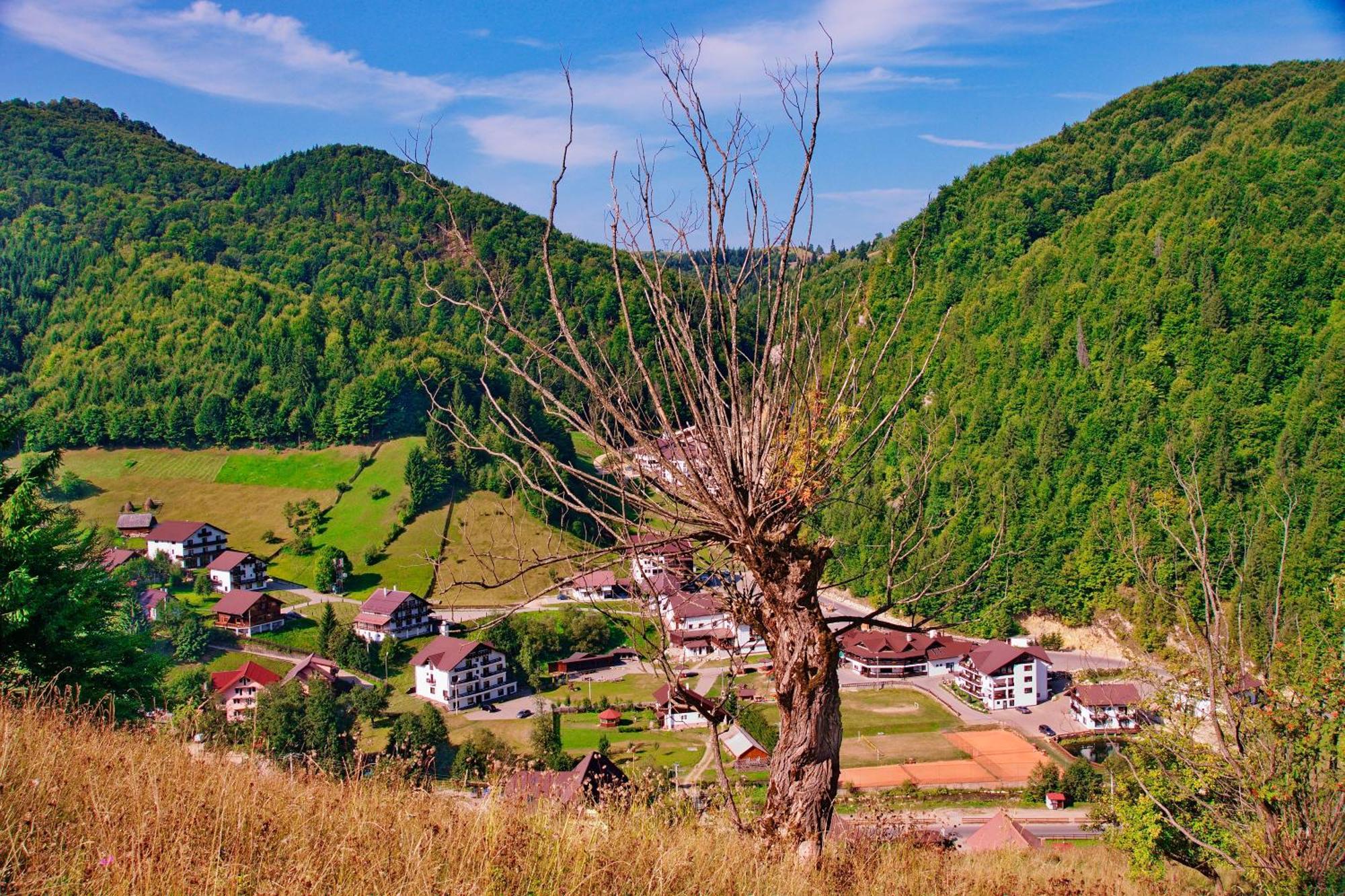 Resort Cheile Gradistei Moieciu Моечу де Жос Екстериор снимка